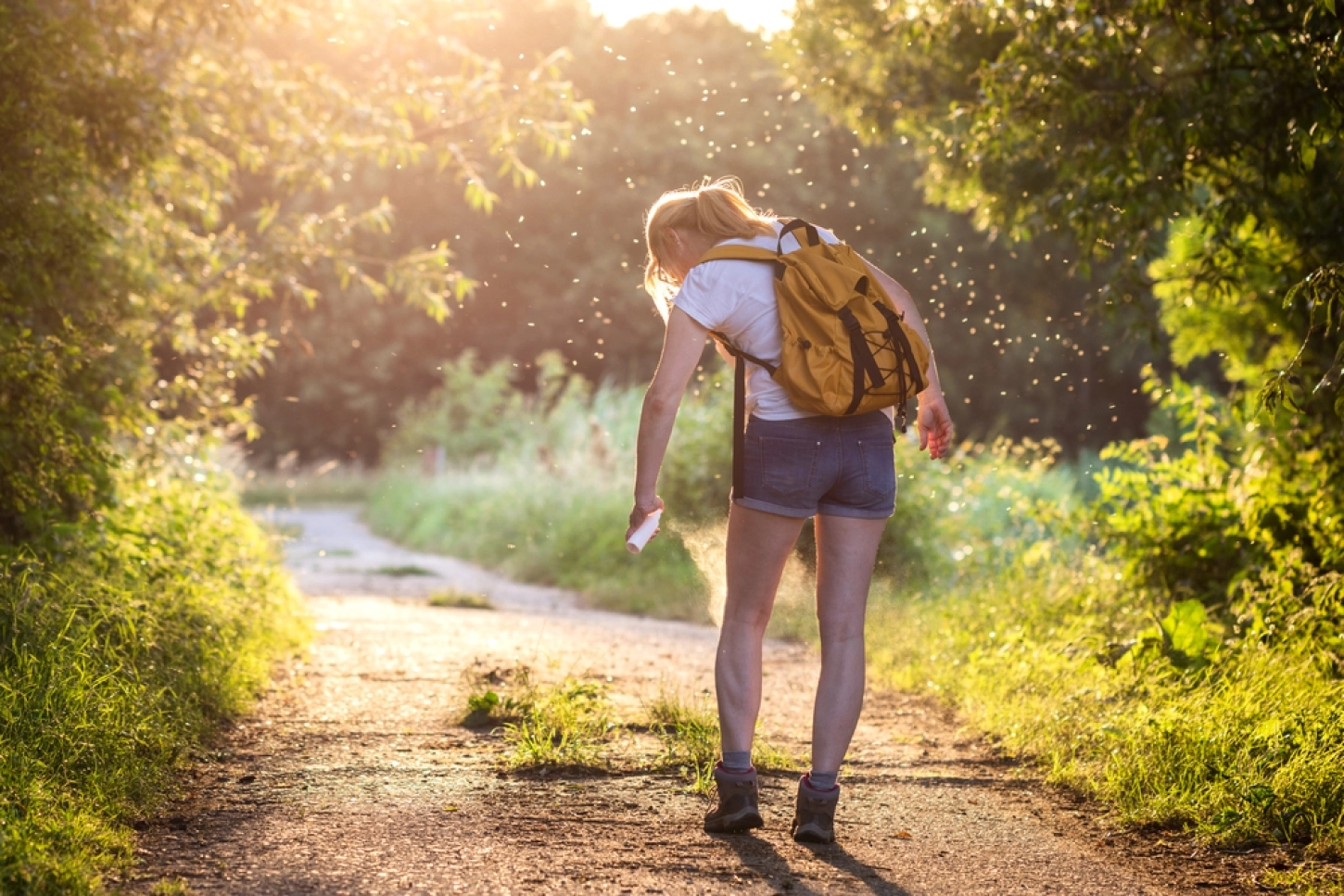 Een wandelaar gebruikt een spray tegen vlooien tijdens een wandeltocht. 